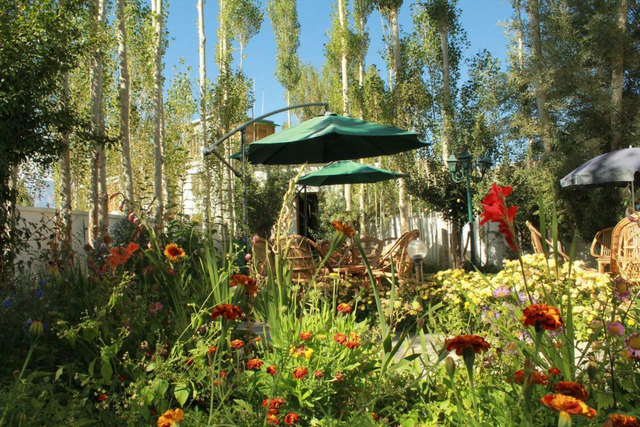 Hotel Ladakh Greens - An Organic Retreat Leh Exterior foto